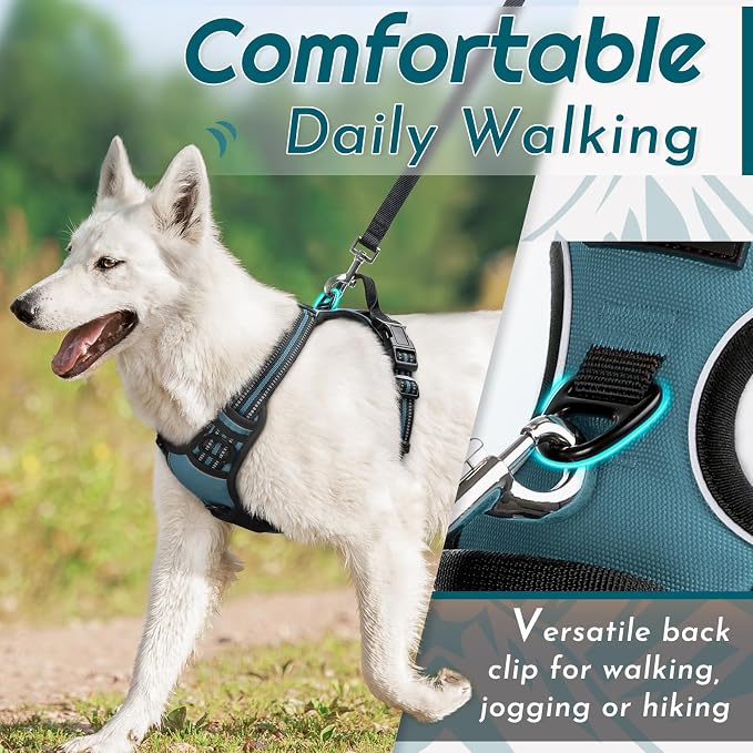 Eagloo Dog Harness for Medium Sized Dogs, No Pull Vest with 2 Leash Clips | No Choke with Handle, Adjustable Comfort Fit, Reflective Strips, Easy Walking Control, Dark Green, Medium - Image 4