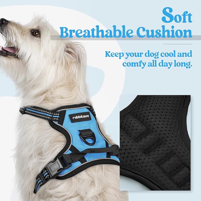 rabbitgoo Dog Harness, No Pull for Small Dogs with 2 Leash Clips, Pet Vest | No Choke with Handle, Adjustable Soft Padded, Reflective, Easy Control for Walking, Blue, X-Small - Image 2