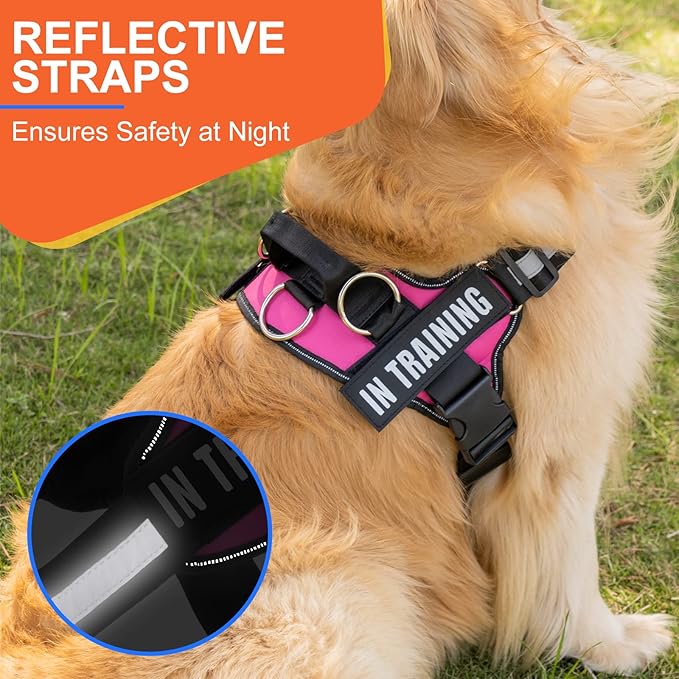 Essential Dog Harness, No Pull Pet Harness with 3 Side Rings for Leash Placement, No Choke, Reflective, Adjustable Pet Vest, Easy On-Off & Improved Control Handle, Training, Walking, Running - Image 2