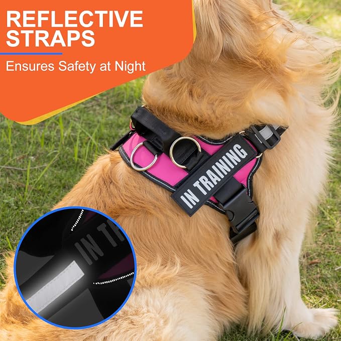 Essential Dog Harness, No Pull Pet Harness with 3 Side Rings for Leash Placement, No Choke, Reflective, Adjustable Pet Vest, Easy On-Off & Improved Control Handle, Training, Walking, Running - Image 2