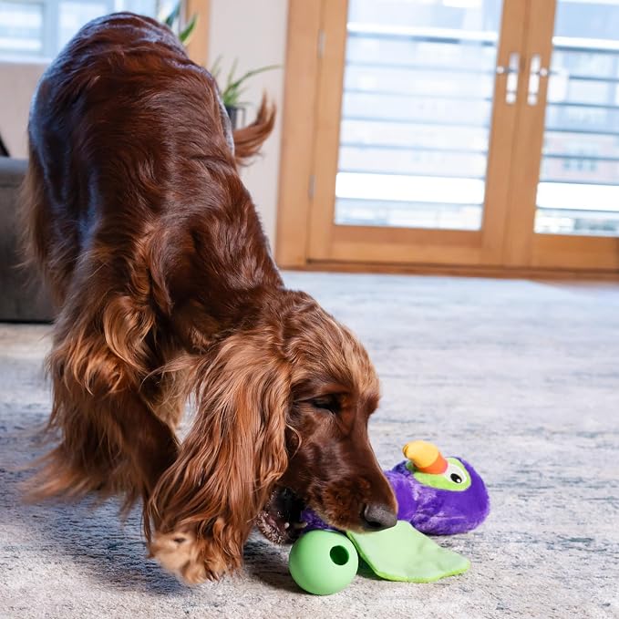 Outward Hound by Nina Ottosson Hide-Ablez Plush Dog Puzzle with Treat Ball, Toucan, Multicolored - Image 7