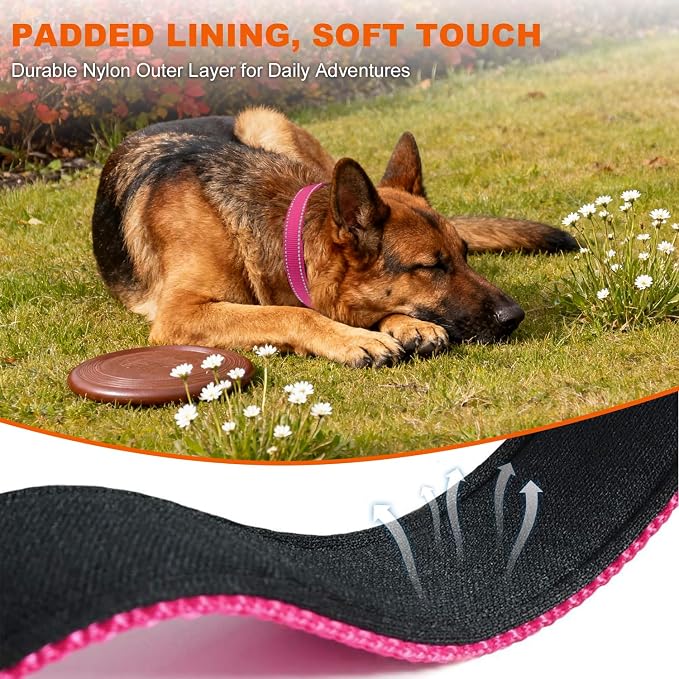 Taglory Reflective Dog Collar for Large Dogs, Comfort for Safe Night Walks | Soft Neck Cushioning, Adjustable 16-24 in, Sturdy Webbing Withstands Strong Pullers, Zinc Alloy D-Ring for Leash and ID Tags - Image 4