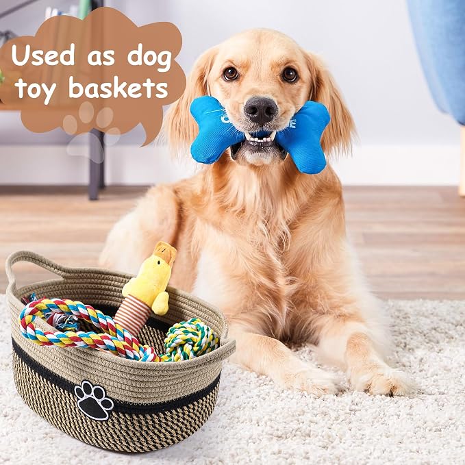 Small Woven Baskets for Organizing Rope Storage Basket with Handle Cute Cotton Nursery Gift Dog Toy Bins Organizer-Black&Beige - Image 5