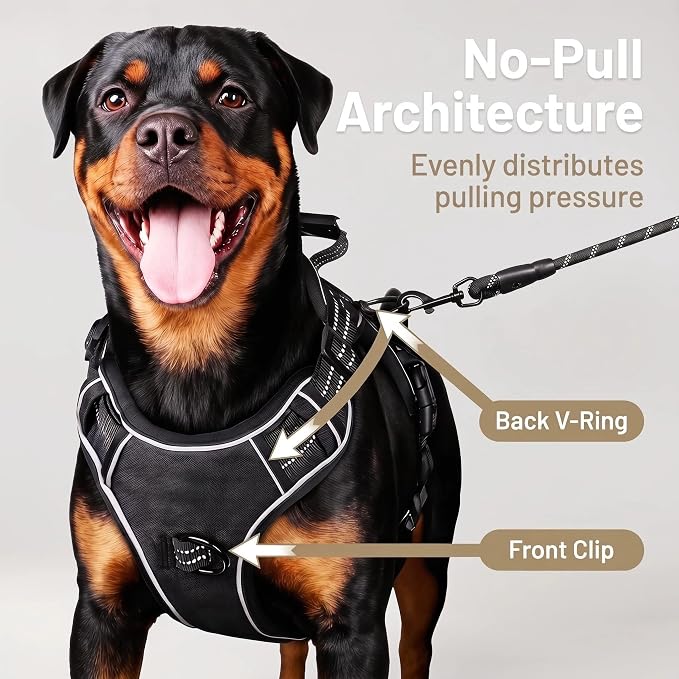 3-in-1 Dog Vest Harness Leash Set for Daily,Service,Training Animal Medium - Image 3