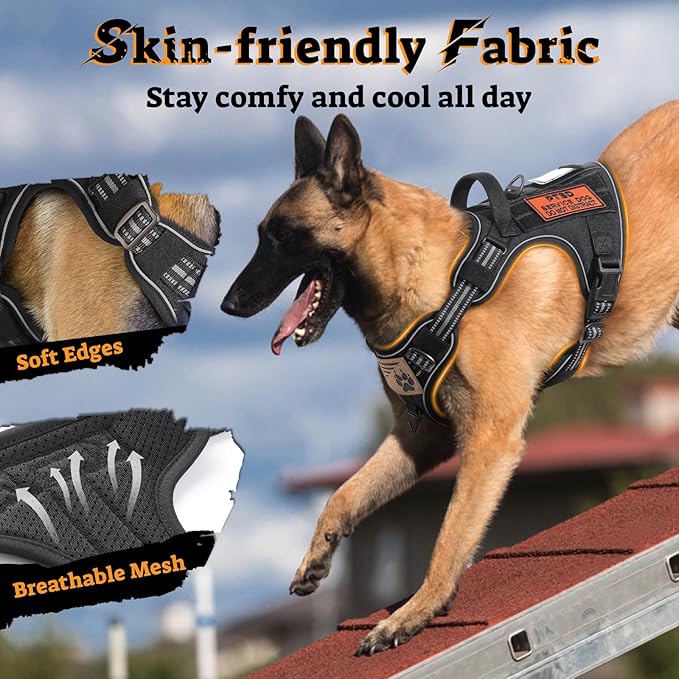 rabbitgoo Tactical Dog Harness for Large Dogs, No Pull Service Pet Vest | Military Molle System & Easy Control Handle, Adjustable and Reflective for Walking and Training, Black, X-Large - Image 4