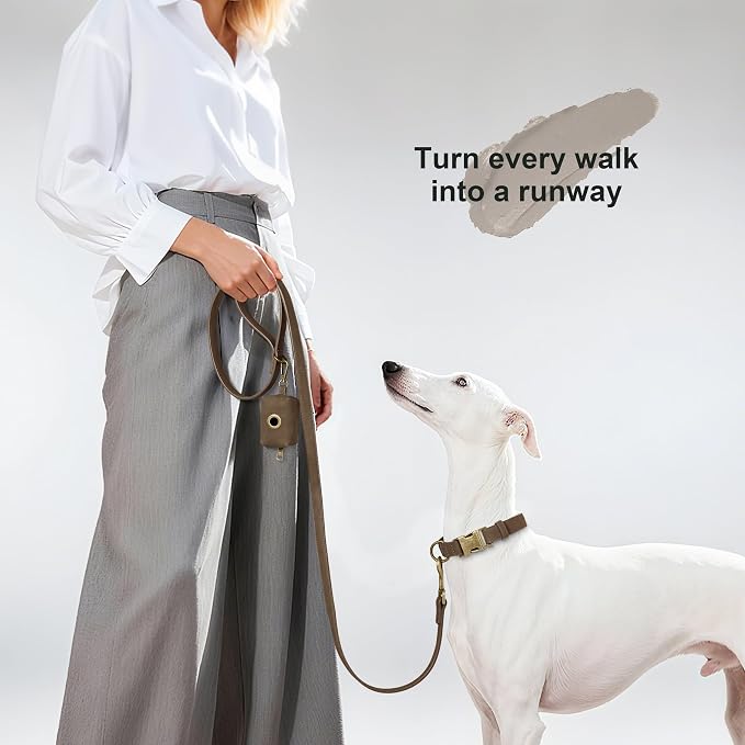 Didog PU Leather Dog Leash for Medium Large Dogs, 3/4in x 5ft, Brown | Soft Grip Full Control, Easy Clean, Metal D-ring for Poop Bag Holder, Tangle-Free 360° Swivel Clasp, for Walking & Training - Image 2