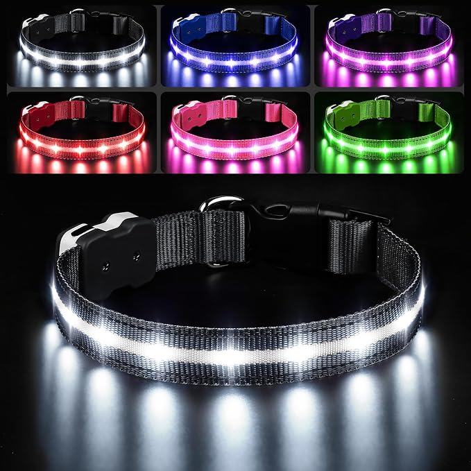 PcEoTllar Light Up Dog Collar, Glow in The Dark for Night Walking, Black, M | Led Dog Collar for Night Walking, 3 Flashing Mode, USB Charge, For Small Medium Large Dogs, Waterproof, Durable Material by PcEoTllarPetSupplies