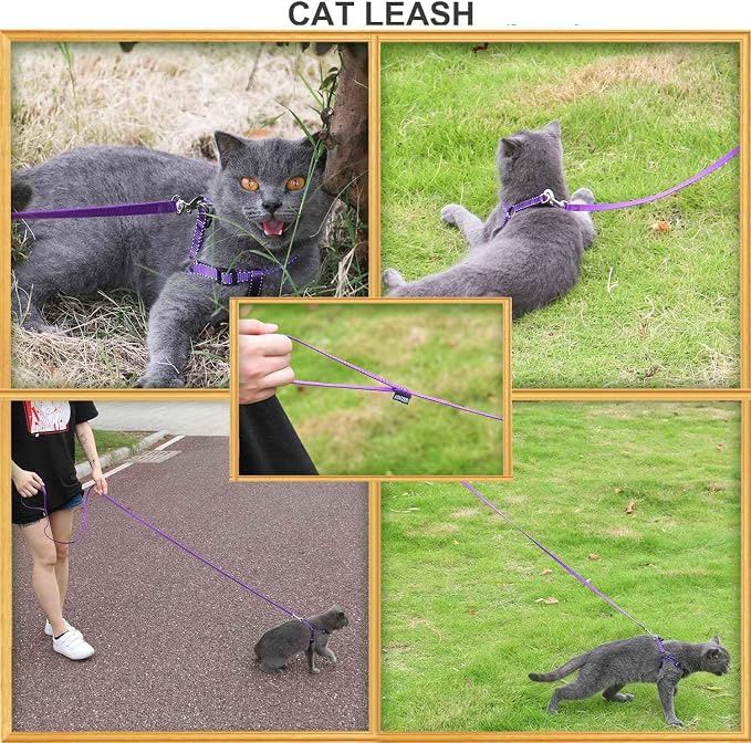 AMAGOOD 6 FT Puppy/Leash, Strong Traditional Style with Easy to Use Collar Hook, Great for Small, Medium and Large Dogs (5/8in x 6 ft, Purple) - Image 8