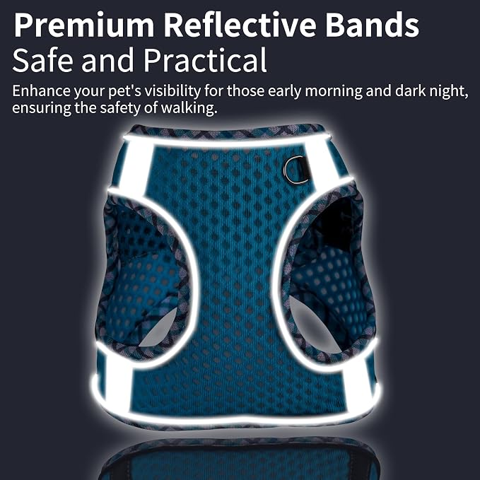 Summer Soft Dog Harness and Leash Set with Breathable Diamond Mesh | Breathable Diamond Mesh, Reflective No-Pull Pet Harness for Outdoor Walking, Training for Small Dogs, Cats Blue XXS - Image 6