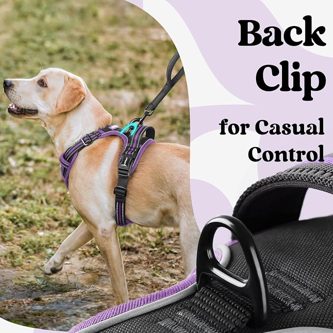 rabbitgoo Dog Harness for Large, Updated Easy On & Off with 3 Buckles | No Pull No Choke, Walking with 2 Clips and Handle, Adjustable Soft Reflective, Black & Purple, Large - Image 5