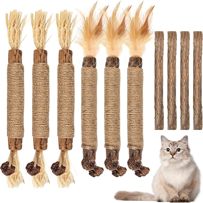 Bissap 10 PCS Silvervine Chew Sticks for Cats, Catnip Chew Sticks Cat Toys for Indoor Cat Kitten Teeth Grinding Interactive Feather Toys for Aggressive Chewers Dental Care by Bissap