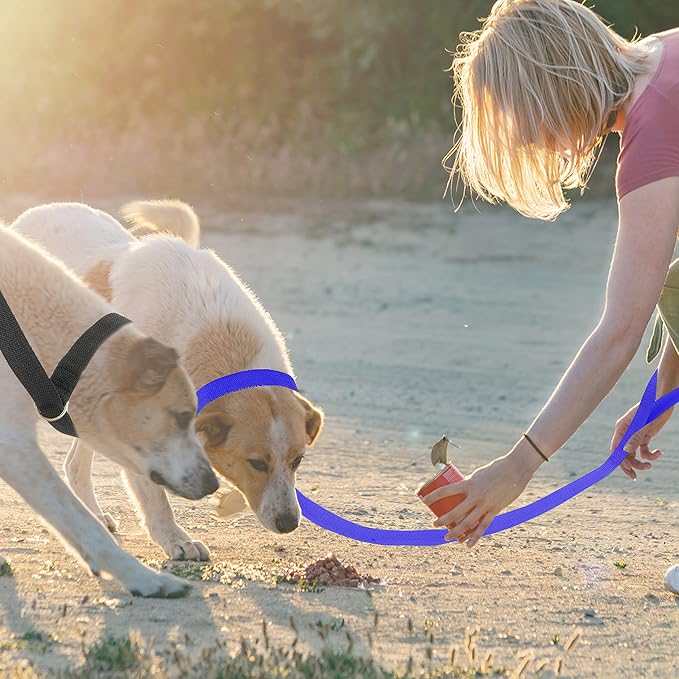 Slip Lead Dog Leash, 12 Pack 6 FT Pet Bulk Leashes with O-Ring | Short Pet Leads for Walking Training Grooming Shelter Rescue Small Medium and Large Dogs - Image 7