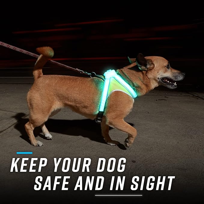 noxgear LightHound Light Up Reflective Dog Harness, Small | 360° Light Up Reflective Dog Harness, 8 Colors & 6 Modes, USB Rechargeable, Adjustable, Rainproof, LED Fiber Optic - Image 2
