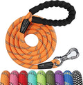 NTR 6FT Heavy Duty Dog Leash, Orange Rope with Swivel Lockable Hook and Comfortable Padded Handle, Cat & Dog Leash for Small to Large Dogs, Training, Playing, Camping or Backyard by NTR