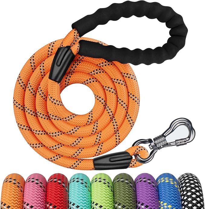 NTR 6FT Heavy Duty Dog Leash, Orange Rope with Swivel Lockable Hook and Comfortable Padded Handle, Cat & Dog Leash for Small to Large Dogs, Training, Playing, Camping or Backyard by NTR