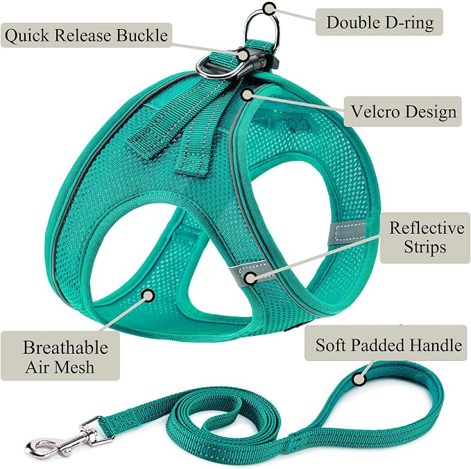 Dog Harness with Leash Set, Step-in Adjustable Puppy Vest, Forest Green XL | Lightweight Breathable Air Mesh, Night Safety Reflective, No Pull Puppy Vest Harnesses for Small Medium Large Dogs, Cats - Image 2