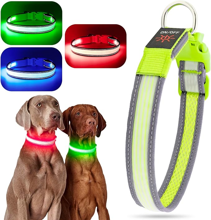 LED Dog Collar, Dog Light Up Collar,for Night Walking (Large, Green-2) | Full Adjustable,Waterproof,Nylon,Soft,Super Bright Light Collars for Small Medium and Large Dogs,USB C to Charge - Image 2