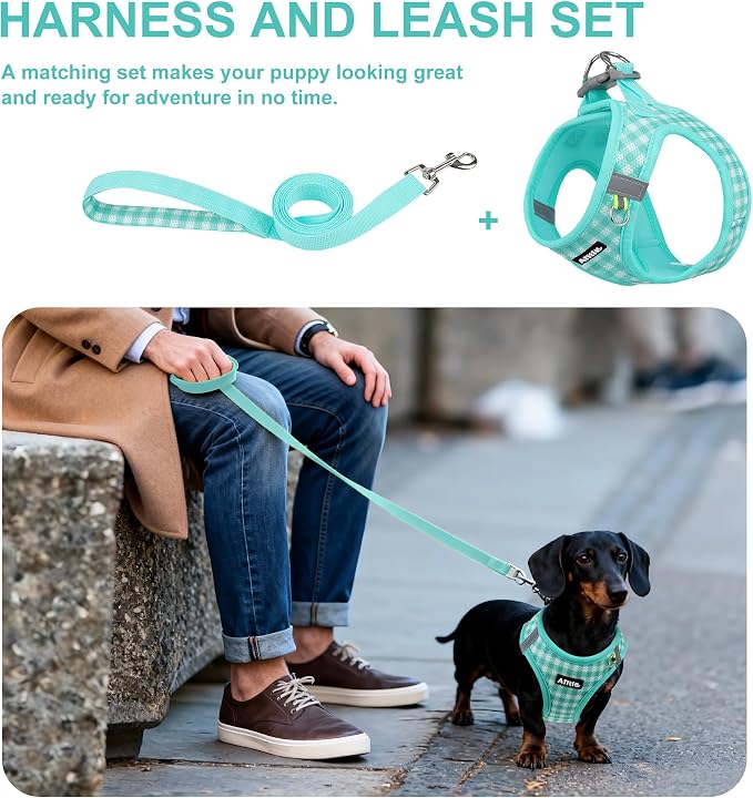 AIITLE Step in Small Dog Harness and Leash Set, Pet Vest, Turquoise XS | Breathable Mesh, Adjustable Fit, No-Pull Reflective Design, Escape Proof, for Small-Medium Dogs, Outdoor Walking, Running - Image 3
