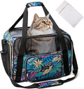 BAGLHER Pet Travel Carrier for Small Medium Cats & Dogs, Airline Approved Soft Sided by BAGLHER