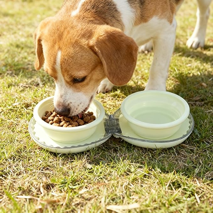 Zegcohjave Collapsible Dog Bowls, 2-in-1 Silicone Portable Dog Food and Water Bowl, Travel Pet Bowls for Dogs & Cats, Ideal for Camping, Hiking and Outdoor Adventures(Light yellow) - Image 2