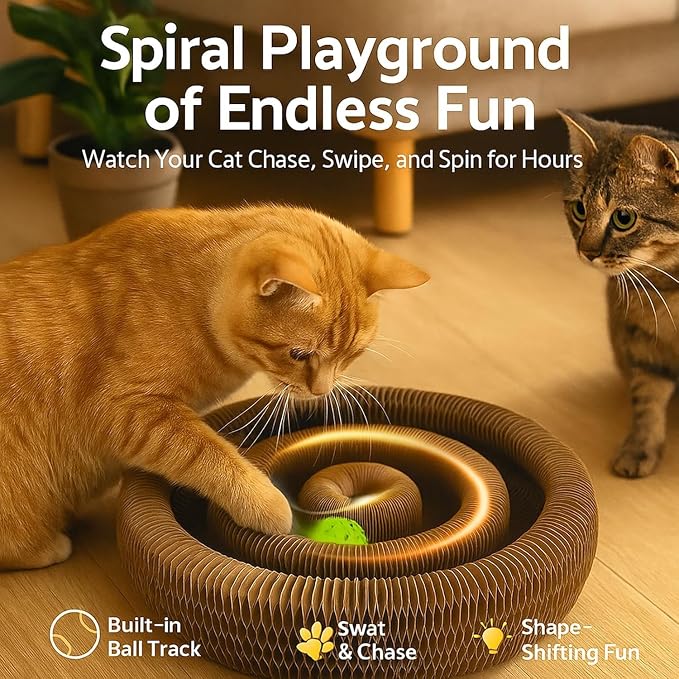Interactive Cat Toy, Kitty Curls Cat Scratcher, Twisty Paws Cat Scratching Post, Kitty Kurls Magic Organ Cat Scratch Pad with Ball Toy for Indoor Cats, Kitty kurlz Modern Cat Scratching Board - Image 3