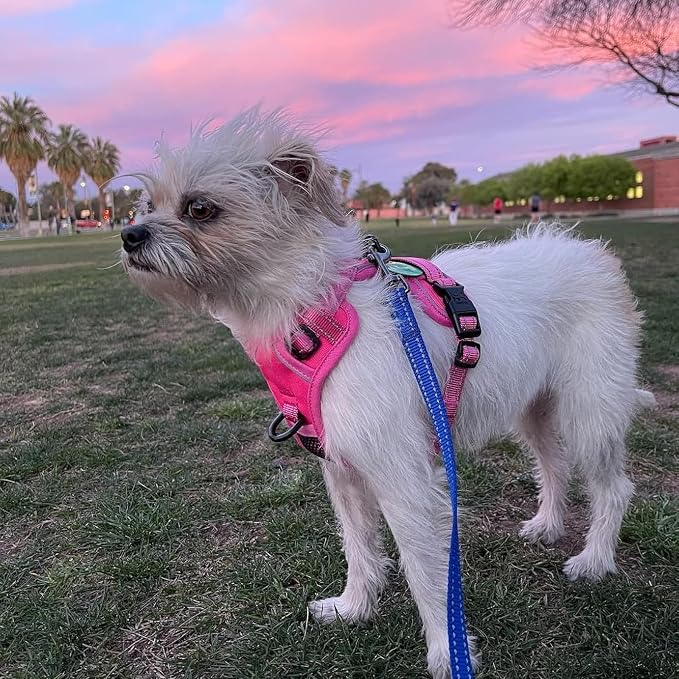 PoyPet No Pull Dog Harness, Reflective Vest with 2 Leash Clips & Handle | Lockable Neck Release Buckle, No Choke, Adjustable, Soft Padded, for Walking Training, Pink Matching Trim, X-Small - Image 6
