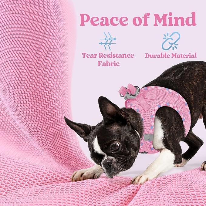 rabbitgoo Step-in Small Dog Harness, Puppy Vest for Small Sized Pet | Easy Put on and off, Lightweight, Soft, Breathable Quick-Dry Air Mesh for Comfortable Secure Walking, Pink & Plaid Trim XXS - Image 4