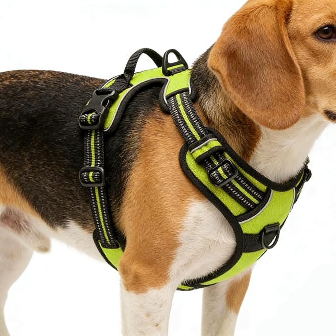 Green No-Pull Dog Harness with 2 Leash Clips，Soft Padded Vest for Small Dog, Adjustable Reflective Dog Vest Easy to Put on and Take Off,(Neck: 13"~17", Chest: 17"~21",Green Small) - Image 4