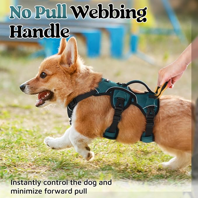 rabbitgoo Escape Proof Dog Harness for Small, No Pull with Lift Handle | No Escape, Full Soft Padded, Reflective Adjustable Vest, Leash Clip for Walking Hiking Training, Dark Green, Small - Image 4