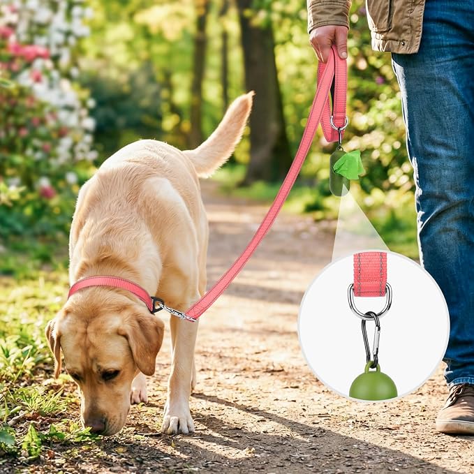 Joytale Reflective Dog Leash for Small Dogs, 5 FT x 3/4", Neon Pink | Heavy Duty Nylon Webbing, Padded Handle for Comfort, Visible at Night, for Walking & Training - Image 2