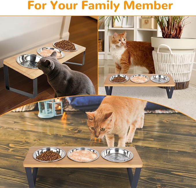 Elevated Cat Bowls with 3 Stainless Steel, 15° Tilted Raised Cat Bowl Set, for Indoor Cats for Small Cats and Puppies Pet Bowls with Stand - Image 6