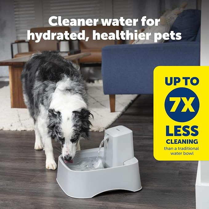PetSafe Oasys Pet Fountain, 2 Gallon (256 oz), Cats, Dogs & Multi-Pet Homes | Adjustable Water Flow, Whisker-Friendly Tray, Dishwasher-Safe, Replaceable Carbon & Foam Filters Included - Image 2