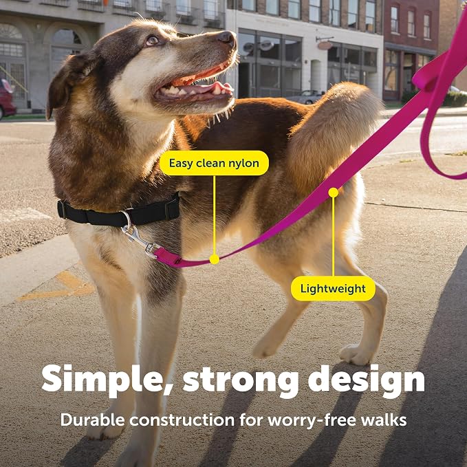 PetSafe Nylon Dog Leash - Strong, Durable, Traditional Style Leash with Easy to Use Bolt Snap - 3/4 in. x 6 ft., Deep Purple | Durable Nylon Leash with Easy on/off Bolt Snap Hook, Pairs Perfectly with Easy Walk Harness and Gentle Leader Headcollar - Image 4