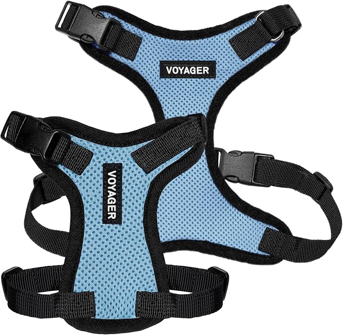 Voyager Step-in Lock Dog Harness - Baby Blue/Black Trim, X-Small | 13 - 16" in Chest, Adjustable, Breathable Air Mesh, Lightweight for Daily Walks, Strong Clips, Heavy Duty D-Ring - Image 6