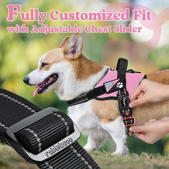 rabbitgoo No Pull No Choke Pet Vest, Adjustable Pet Harness with Molle | Large Sized Dog Harness, Reflective, Easy Wearing with One Buckle for Walking, Training, Pink, L - Image 6