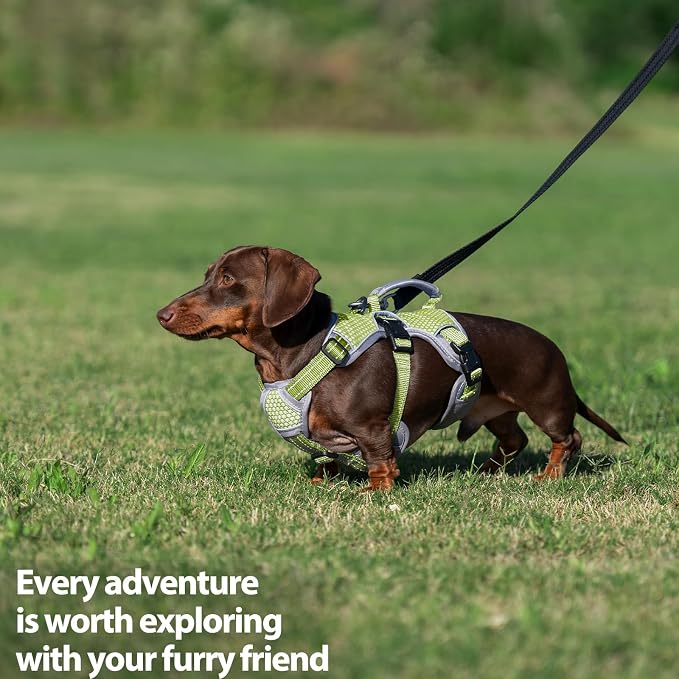 Escape Proof Dog Harness, Dachshund Harness, Reflective Dog Harness with Handle, Durable,Adjustable Vest for Small Medium Large Dogs Walking, Training, and Running Gear (Green,S) - Image 7