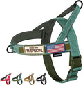 Annchwool No Pull Dog Harness with Soft Padded Handle,Reflective Strip Escape Proof and Quick Fit to Adjust Dog Harness,Easy for Training Walking for Small & Medium and Large Dogs(Green,S) by Annchwool