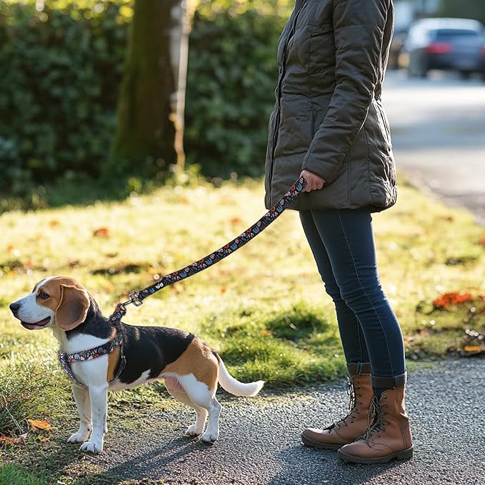 Dog Harness Leash Set Adjustable Heavy Duty No Pull Halter Harnesses for Small Medium Large Breed Dogs Back Clip Anti-Twist Perfect for Walking - Image 5