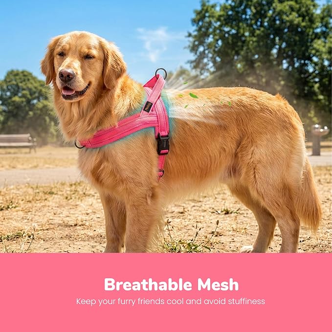 No Pull Dog Harness for Large Dogs, Breathable Mesh Padded, Pink, L | Quick Fit, Easy On and Off, Lightweight, Reflective Vest Harness for Night Safty, Easy for Walking and Training, Chest 26-32" - Image 2
