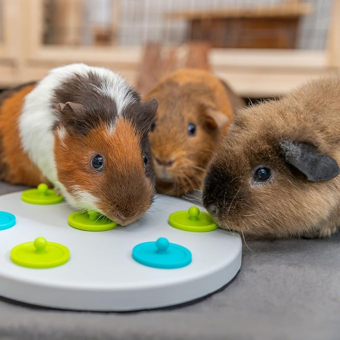 Trixie Rabbit Snack Board, Interactive Toy, Small Animal Puzzle, Mental Stimulation, Rabbit, Ferret, Bunny, Chinchilla - Image 6