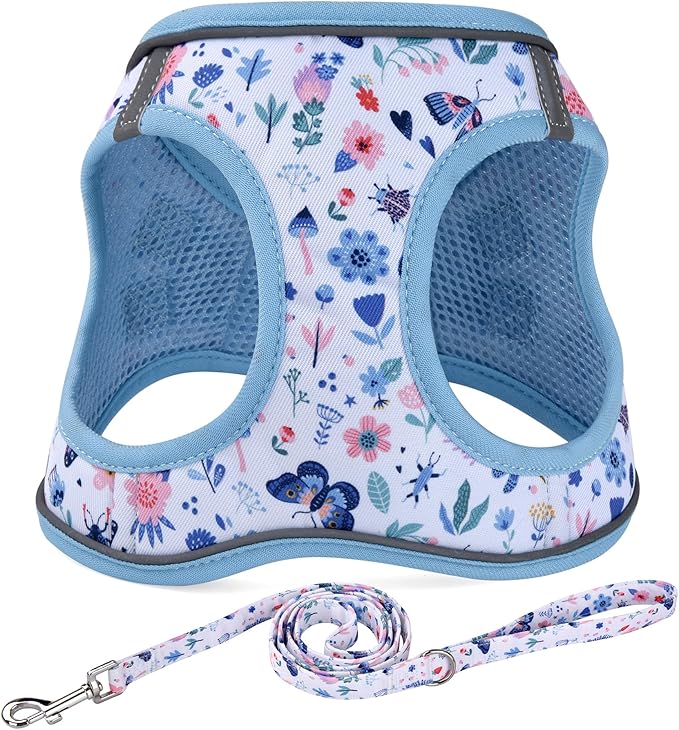 Mihqy Step in Dog Harness and Leash Set, Soft Breathable Mesh, Insect,XXS | Reflective, Adjustable No Pull Harnesses for Small Dogs Puppy and Cats, Lightweight Vest Harnesses, Fashion Floral Design by Mihqy