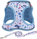 Mihqy Step in Dog Harness and Leash Set, Soft Breathable Mesh, Insect,XXS | Reflective, Adjustable No Pull Harnesses for Small Dogs Puppy and Cats, Lightweight Vest Harnesses, Fashion Floral Design by Mihqy
