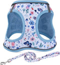 Mihqy Step in Dog Harness and Leash Set, Soft Breathable Mesh, Insect,M | Reflective, Adjustable No Pull Harnesses for Small Dogs, Lightweight Vest Harnesses, Fashion Floral Design by Mihqy