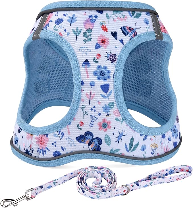 Mihqy Step in Dog Harness and Leash Set, Soft Breathable Mesh, Insect,M | Reflective, Adjustable No Pull Harnesses for Small Dogs, Lightweight Vest Harnesses, Fashion Floral Design by Mihqy
