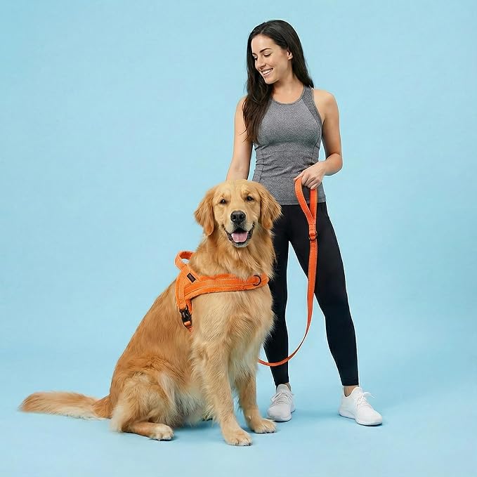Didog 6FT Reflective Dog Leash for Medium Large Dogs,Slim 3/4" Width,Orange | Soft Padded Handle, Plush Comfort Grip, Tangle-Free, 360°Heavy-Duty Strengthened Clasp for Daily Walks/Training, Night Safety - Image 3
