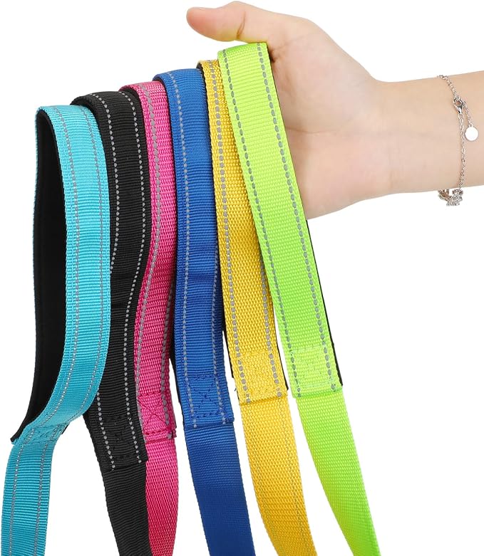 6 Pack 5 ft Nylon Dog Training Leashes Bulk for Medium and Large Dogs Heavy Duty Padded Handle Puppy Leash Traction Rope for Walking, Play, Camping - Image 5