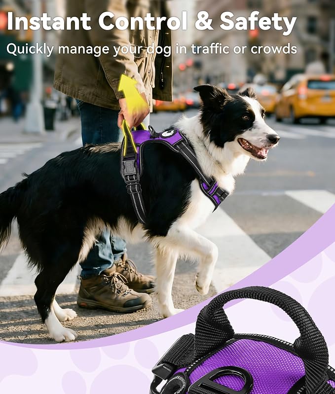 Joytale No Pull Dog Harness Medium Sized Dog, Front Clip, Purple | Grab Handle for Instant Control, Padded & Adjustable Vest, Sturdy Metal D-Rings, for Safe Training & Daily Walking - Image 3