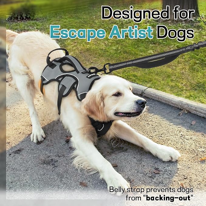 rabbitgoo Escape Proof Dog Harness for X-Large, No Pull with Lift Handle | No Escape, Full Soft Padded, Reflective Adjustable Vest, Leash Clip for Walking Hiking Training, Grey, X-Large - Image 2
