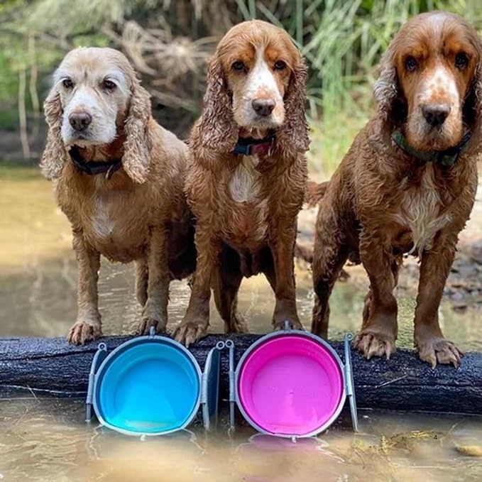 Loving Pets Bella Roma Collapsible Dog Bowls - Silicone Dog Bowls, Foldable Bowl, Puppy Essentials & Hiking Pet Supplies Great for Home & Travel (Pink, Medium) - Image 8