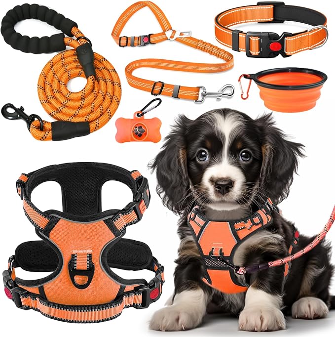 LOBEVE No Pull Dog Harness, Collar & Leash Set with Travel Accessories | Includes Dog Seat Belt, Collapsible Bowls & Poop Bag Dispenser. Ideal for Training, Walking, Hiking. Fits Small to Large Dogs by Lovebegetslove